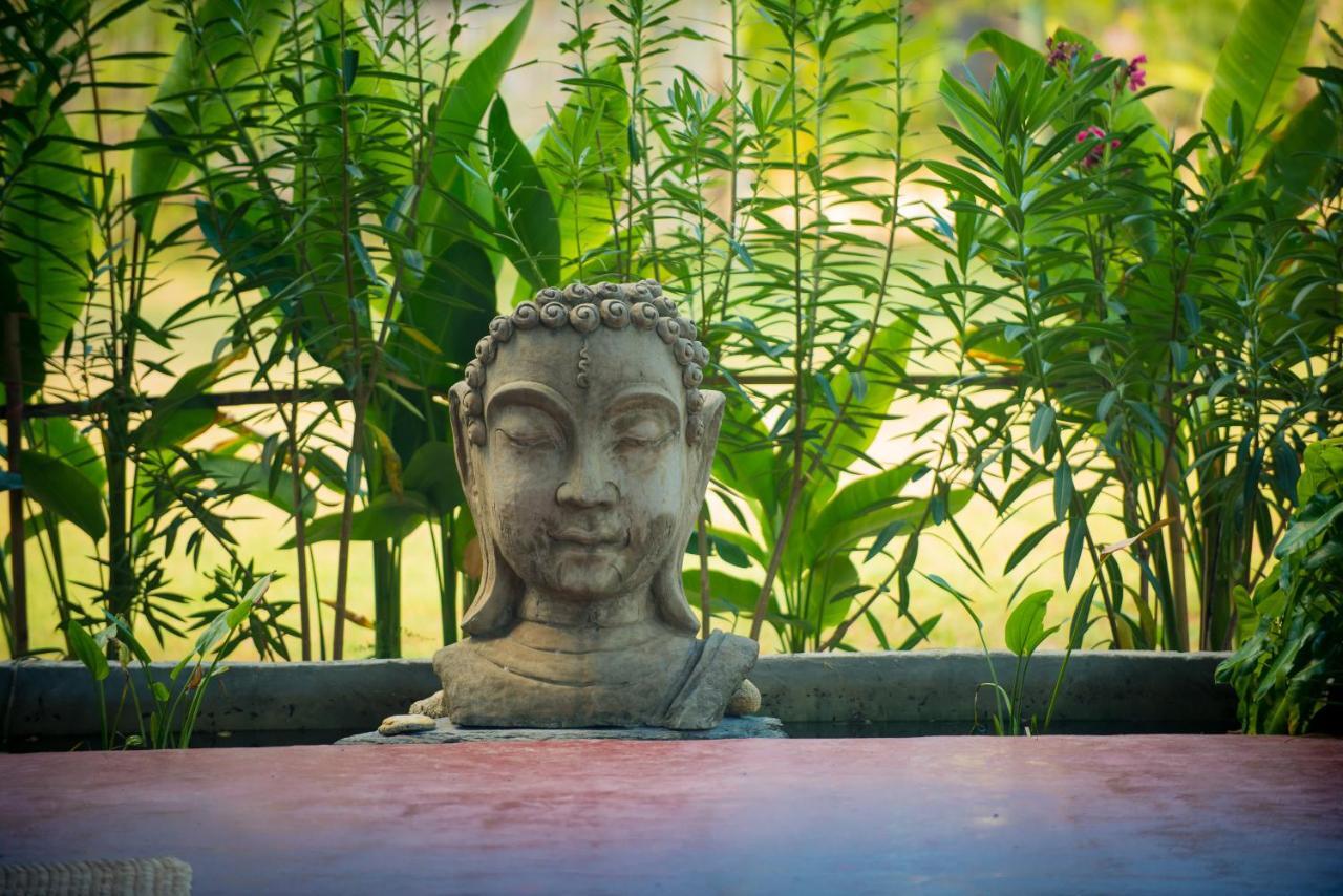 Gasthof Oasis Yoga
